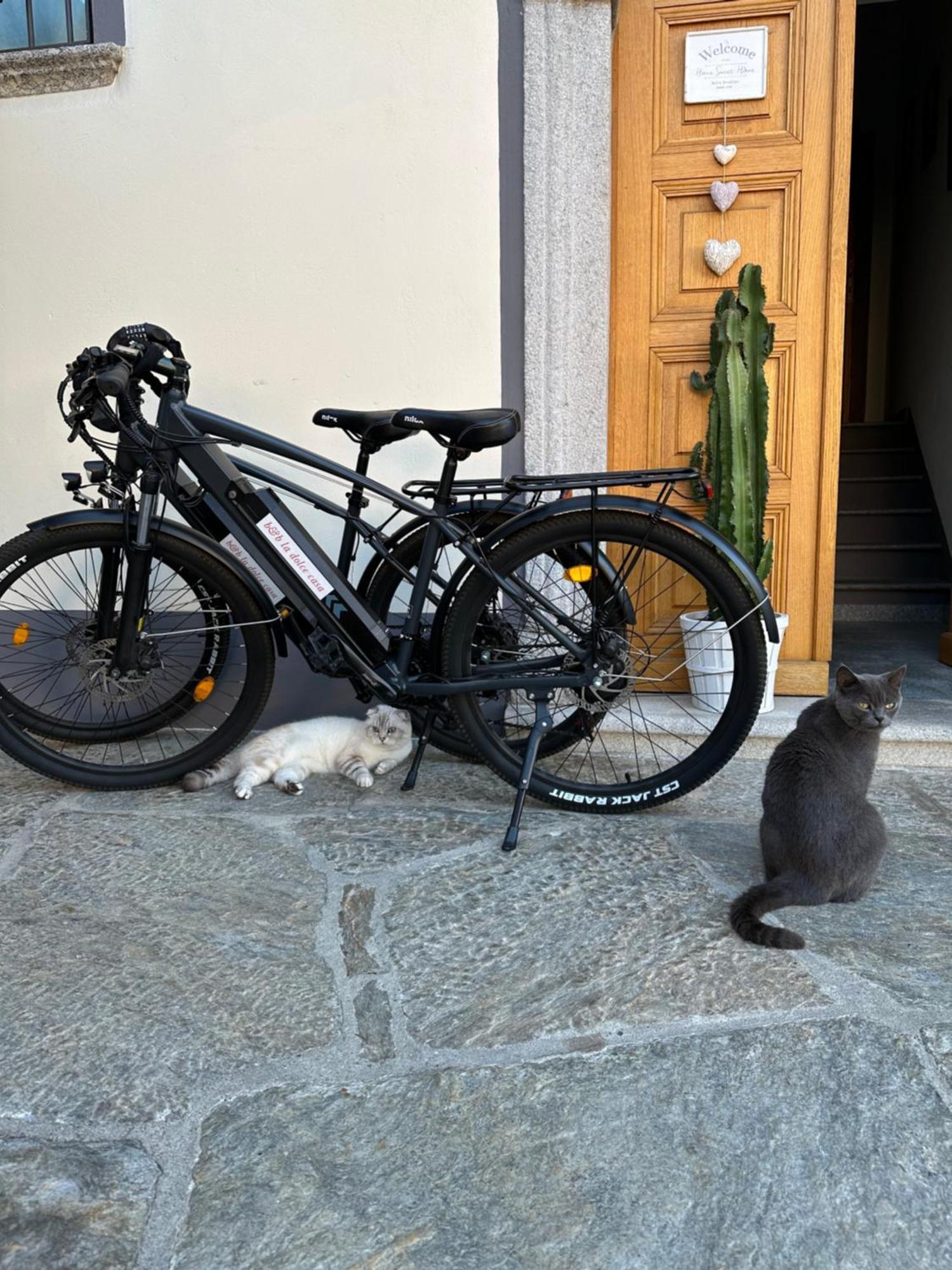 B&B La Dolce Casa Lago Di Como Cremia Eksteriør billede