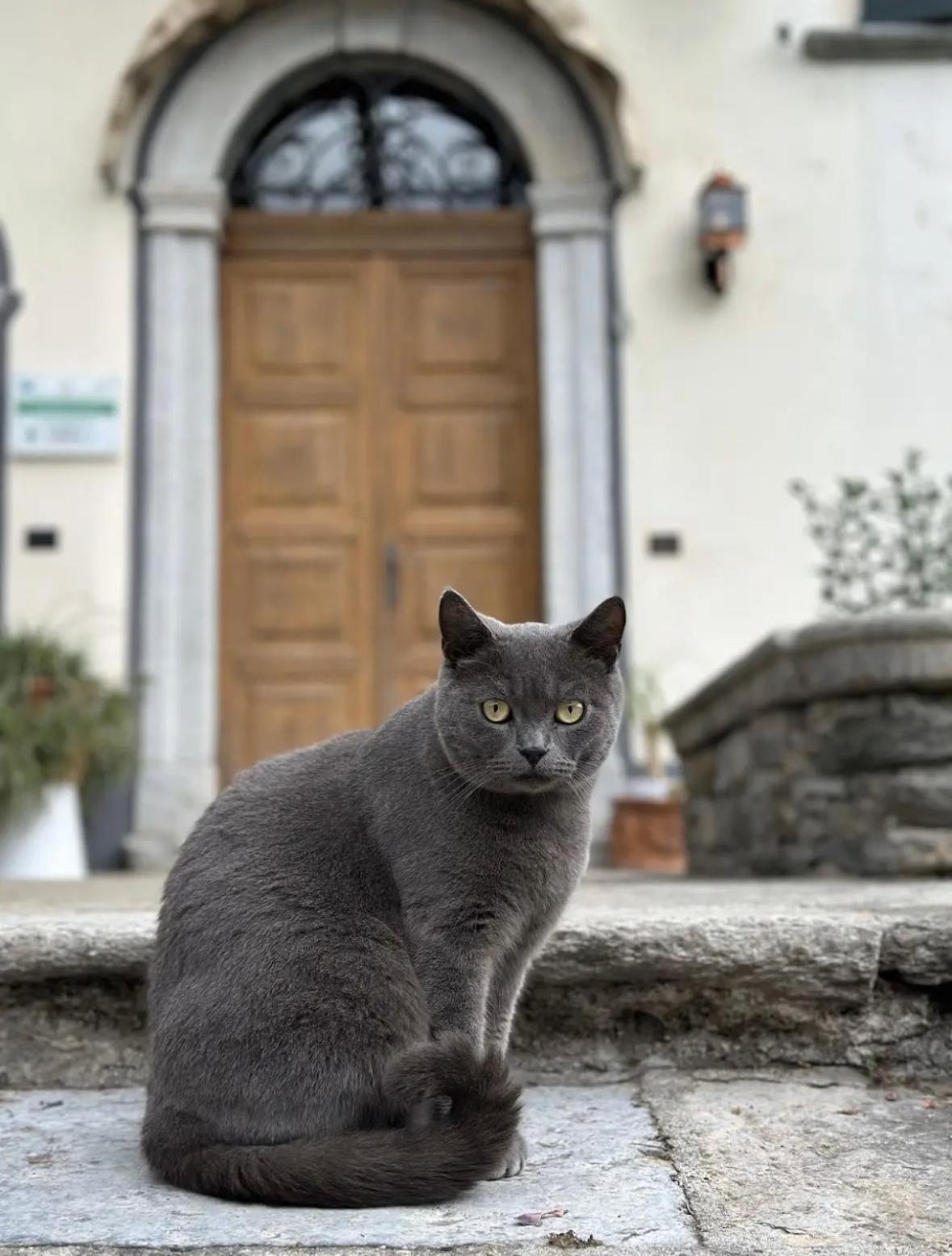 B&B La Dolce Casa Lago Di Como Cremia Eksteriør billede