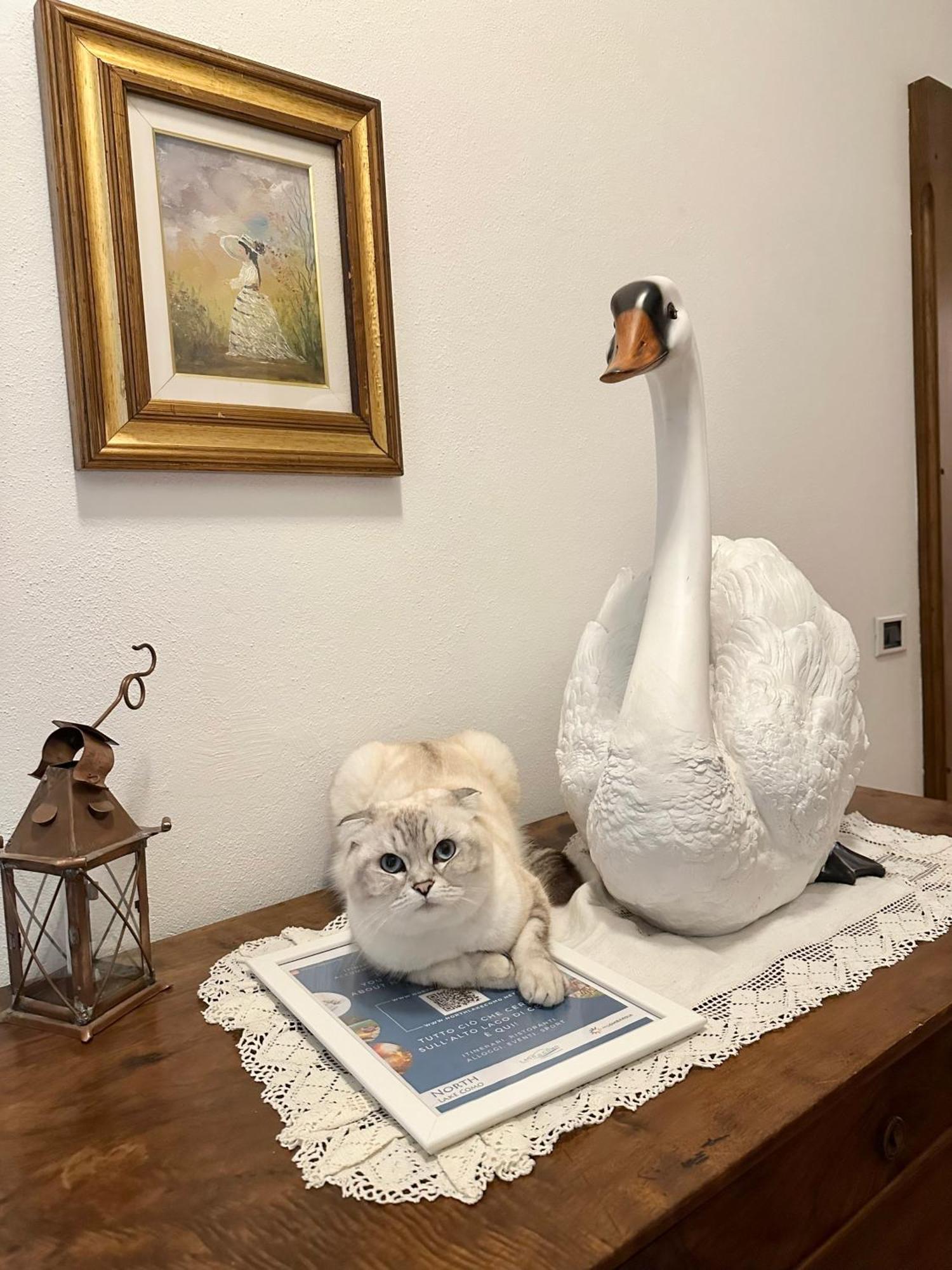 B&B La Dolce Casa Lago Di Como Cremia Eksteriør billede